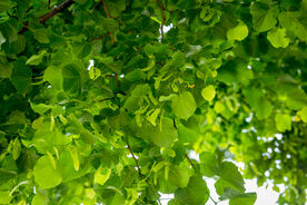 Das Projektjahr 2025