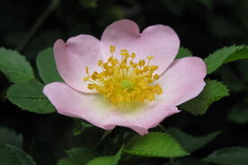 Das Projektjahr 2025