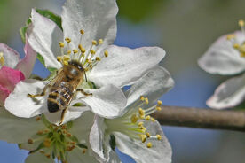 Das Projektjahr 2025