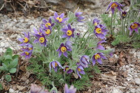 Das Projektjahr 2025