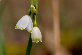 Das Projektjahr 2025