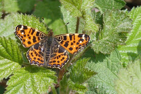 Das Projektjahr 2025