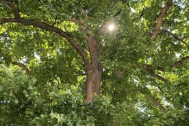 Das Projektjahr 2025